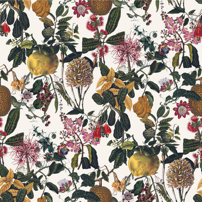 Fruit Tropical Wallpaper