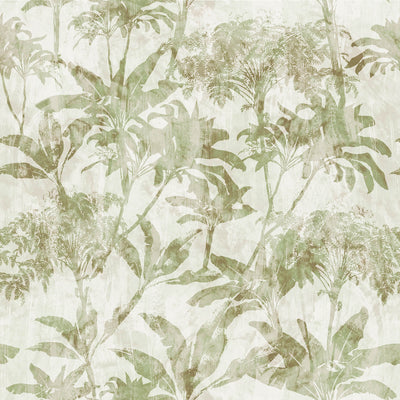 Esther Sage Tree Palm Wallpaper