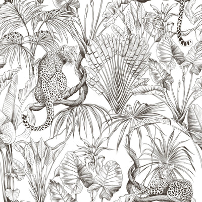 Jungle Wild Leopard Wallpaper