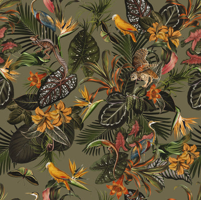 Tropical Wild Botanic Wallpaper