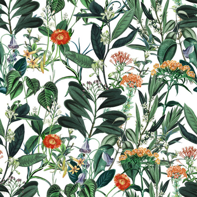 Botanical Light Flower Pattern Wallpaper