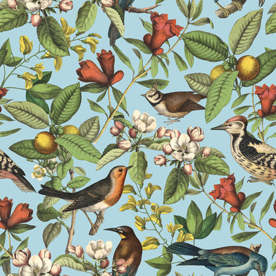 Antique Botanical Bird & Fruit Collage Wallpaper