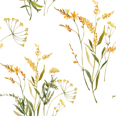 Watercolor Botanical Leavs Wallpaper