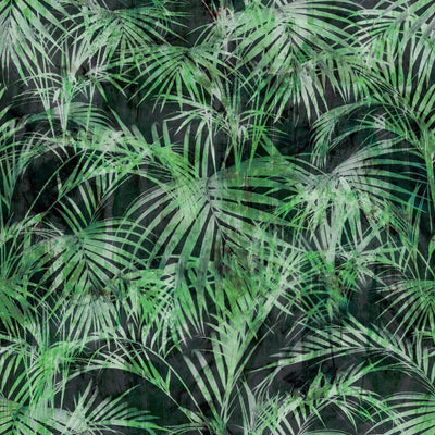 Tropical Exotic leaves Wallpaper