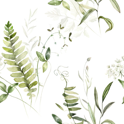 Hand Drawn Fern Leaves Wallpaper