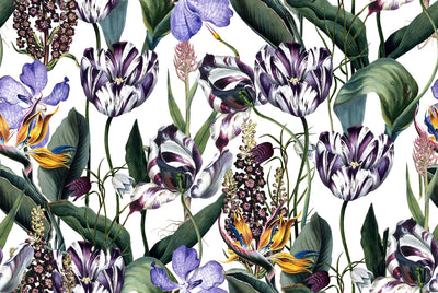 Tropical Tulips Wallpaper