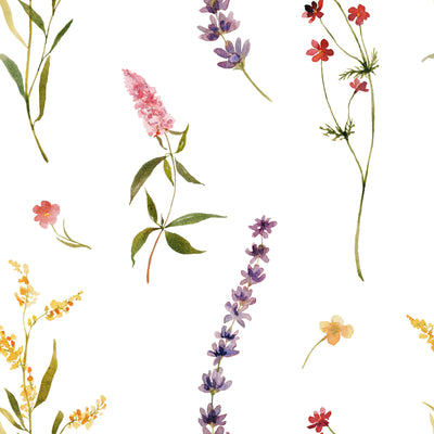Watercolor Wild Botanical Wallpaper