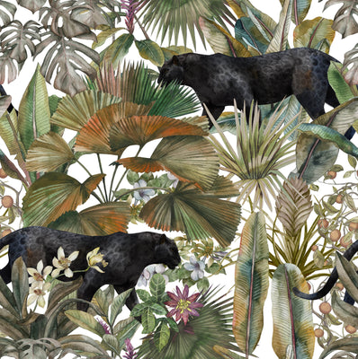 Tropical Wild Life Wallpaper