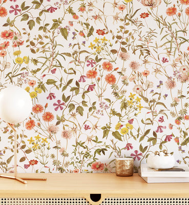 Hand Drawn Botanical Illustration Wallpaper