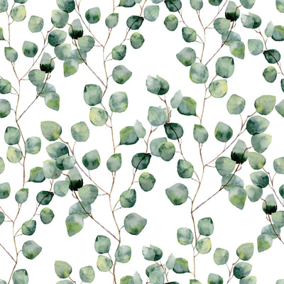 Watercolor Eucalyptus - Walltrendz