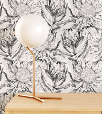 Protea Flowers Floral Tropical Wallpaper
