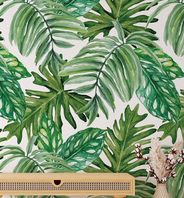 Exotic Rainforest - Walltrendz