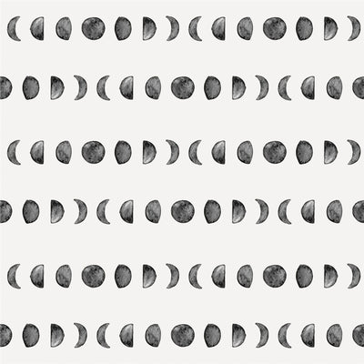 Moon Phases