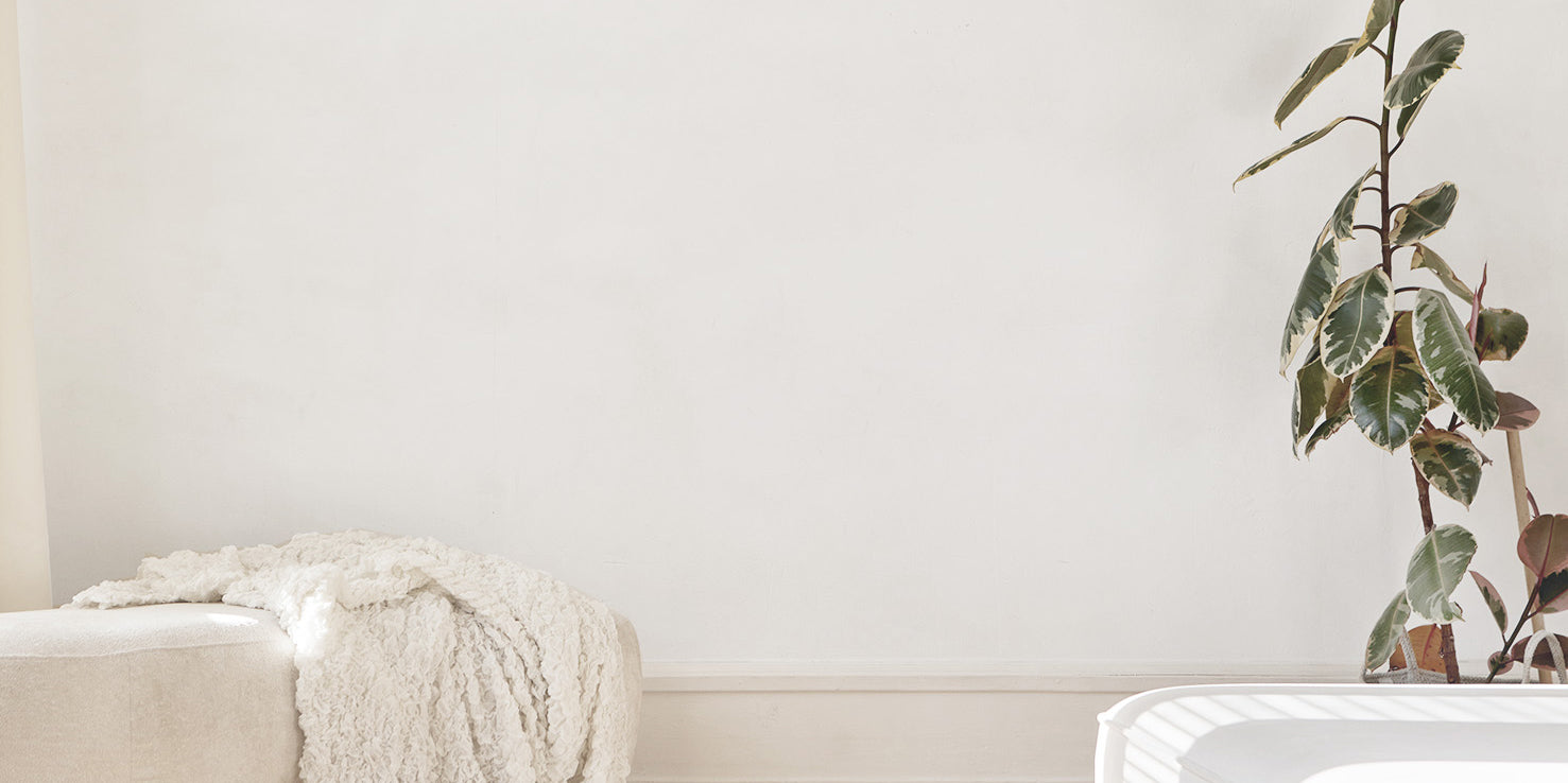 Product Before Image