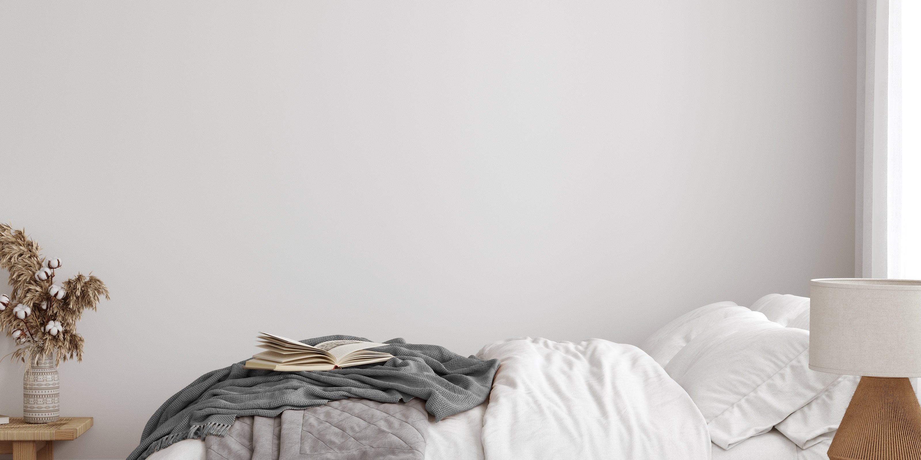 Product Before Image