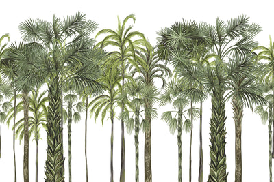 Palm Botanical Large Tree Wallpaper