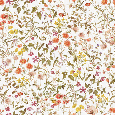 Hand Drawn Botanical Illustration Wallpaper