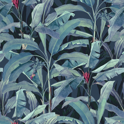 Tropical Large Banana Leaves Wallpaper