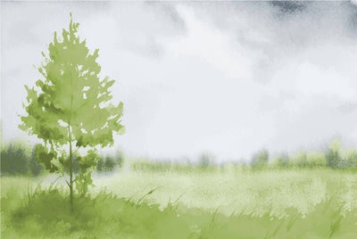 Trees With Grass Green Watercolor Wallpaper